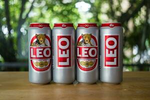 Samut Prakan, Thailand - October 8, 2023 Can of Leo Beer, new design can. Leo Beer is most popular in Thailand photo