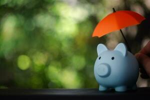 Man holding small orange umbrella over blue piggy bank. The concept for finance insurance. photo