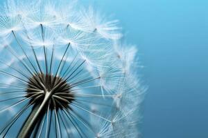 Close up of dandelion on the blue background. Generative AI photo