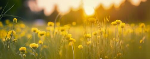 Tranquil spring summer nature closeup and blurred forest background. Generative AI photo