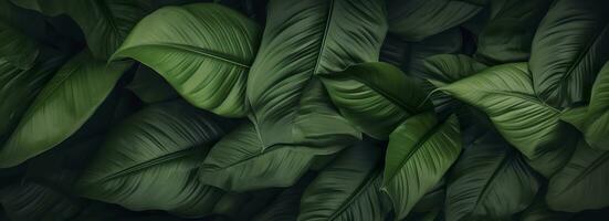 Abstract green leaf texture with nature background, tropical leaf. Generative AI photo