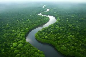 Aerial view of the Amazonas jungle landscape with river bend. Generative AI photo