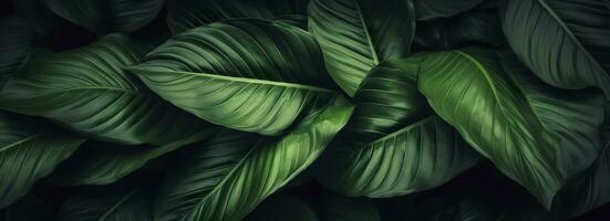 Abstract green leaf texture with nature background, tropical leaf. Generative AI photo