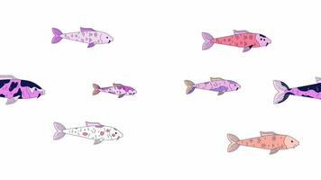 Japonais carpe des poissons nager ligne dessin animé animation. sous-marin nishikigoi Oriental 4k vidéo mouvement graphique. flottant carpe koi groupe dans étang 2d linéaire Animé personnages isolé sur blanc Contexte video