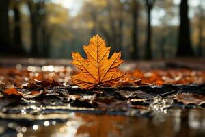 leaf in autumn, on the floor of a forest in autumn AI Generated photo