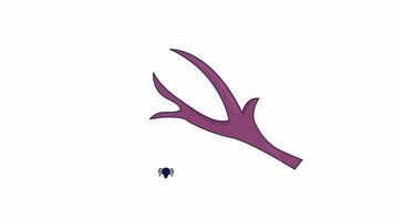 Spider hanging from deer antler line 2D object animation. Halloween decorations flat color cartoon 4K video, alpha channel. Spiderweb insect arthropod dangling down animated item on white background video