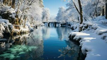 oirase garganta en invierno, aomori prefectura, Japón. foto