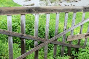 Green plants and flowers grow along a fence in a city park. photo