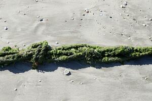 Thick hemp rope on the pier in the seaport. photo