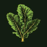 Single rucola leaf in engravement vector