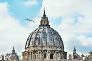 the dome of the vatican is pictured with a bird flying in the sky photo