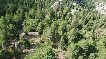 scénique drone vidéo de rocheux montagnes dans Turquie. haute qualité 4k métrage video