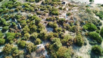 Aerial view of cliffs tracking slowly to sea at rocky beach. 4k drone video. video