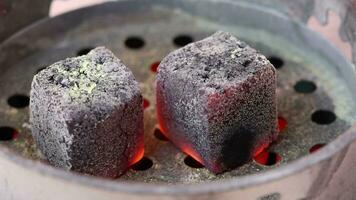 ardiente carbones para narguile en el eléctrico cocina. proceso de preparando shisha video