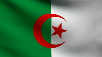 Argelia flag waving video
