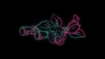 blommor med en lysande neon effekt animerad abstrakt rörelse på svart bakgrund video
