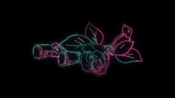 bloemen met een gloeiend neon effect geanimeerd abstract beweging Aan zwart achtergrond video