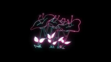 bloemen met een gloeiend neon effect geanimeerd abstract beweging Aan zwart achtergrond video