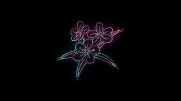 bloemen met een gloeiend neon effect geanimeerd abstract beweging Aan zwart achtergrond video