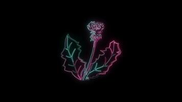 bloemen met een gloeiend neon effect geanimeerd abstract beweging Aan zwart achtergrond video