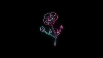 bloemen met een gloeiend neon effect geanimeerd abstract beweging Aan zwart achtergrond video