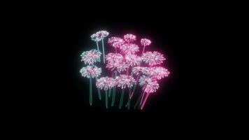 flowers with a glowing neon effect animated abstract motion on black background video