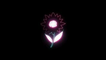 bloemen met een gloeiend neon effect geanimeerd abstract beweging Aan zwart achtergrond video