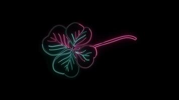 bloemen met een gloeiend neon effect geanimeerd abstract beweging Aan zwart achtergrond video