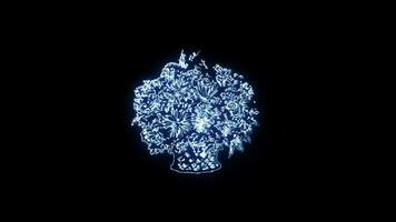 fleurs avec une embrasé néon effet Animé abstrait mouvement sur noir Contexte video