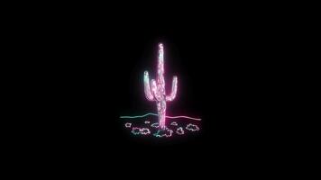 flowers with a glowing neon effect animated abstract motion on black background video