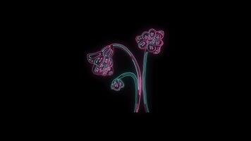 bloemen met een gloeiend neon effect geanimeerd abstract beweging Aan zwart achtergrond video