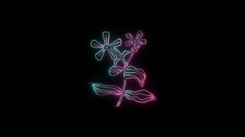 bloemen met een gloeiend neon effect geanimeerd abstract beweging Aan zwart achtergrond video