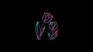 bloemen met een gloeiend neon effect geanimeerd abstract beweging Aan zwart achtergrond video