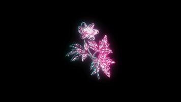 bloemen met een gloeiend neon effect geanimeerd abstract beweging Aan zwart achtergrond video