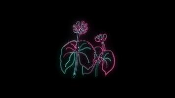 flowers with a glowing neon effect animated abstract motion on black background video