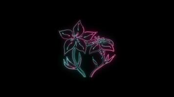 blommor med en lysande neon effekt animerad abstrakt rörelse på svart bakgrund video