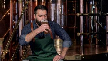 Cheerful beer maker resting at his brewery after working, drinking delicious beer video