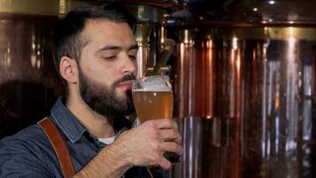 Handsome bearded brewer enjoying smell and taste of delicious craft beer video