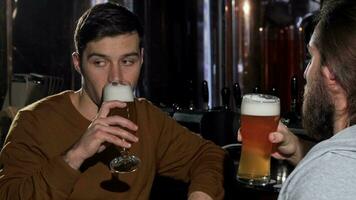 jong Mens genieten van drinken heerlijk bier met zijn vriend, gerinkel bril video