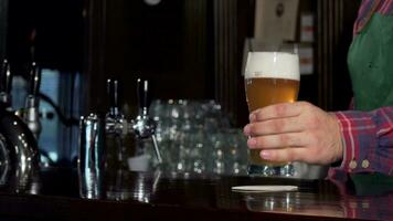 Bartender pouring glass of delicious tasty beer at pub, placing it on the counter video