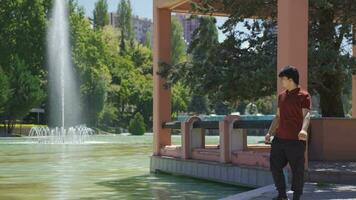 un joven hombre con un malo estado animico y Deprimido estado animico es caminando en el parque. video