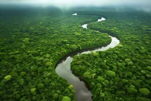 Aerial view of the Amazonas jungle landscape with river bend. Generative AI photo