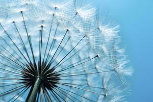 Close up of dandelion on the blue background. Generative AI photo