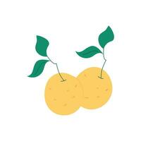 Two oranges with green twigs on a white background. Flat vector illustration