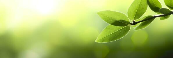 Close up of nature view green leaf on blurred greenery background. Generative AI photo