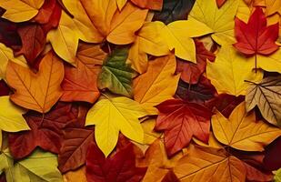 Background of autumn leaves. Autumn background. Generative AI photo