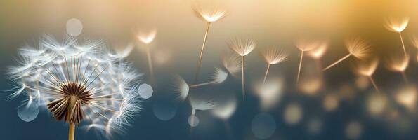 Abstract blurred nature background dandelion seeds parachute. Bokeh pattern. Generative AI photo