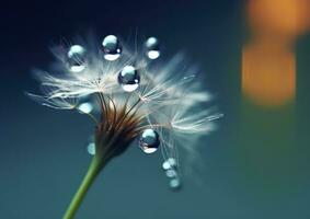 Beautiful dew drops on a dandelion seed macro. Beautiful blue background. Generative AI photo