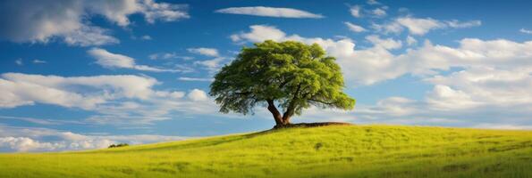 Landscape view of one big tree on the top of the hill with green grass on a hillside with blue sky and clouds in the background. Generative Ai photo