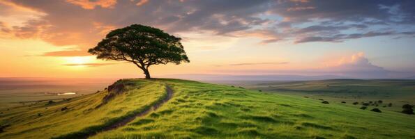 Landscape view of one big tree on the top of the hill with green grass on a hillside with blue sky and clouds in the background. Generative Ai photo